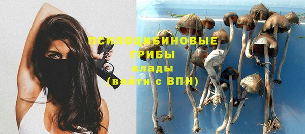ешки Армянск