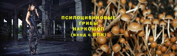 дмт Арсеньев